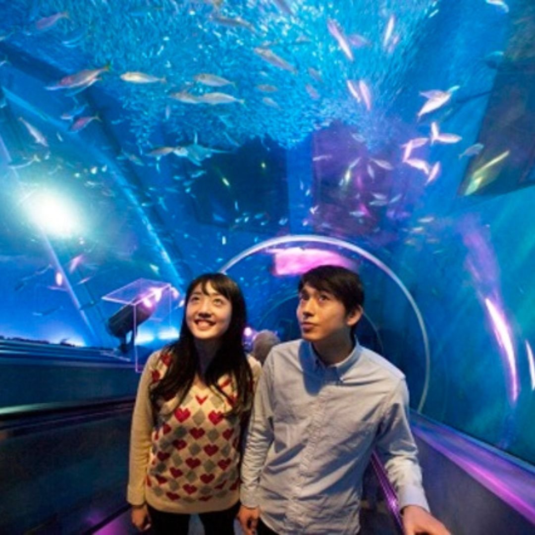 横浜・八景島シーパラダイス | FunNow - On-demand online booking